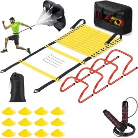 Professional Agility Ladder Training Set For Speed & Footwork - Adjustable Fitness Equipment With Carry Bag For Coordination, Quickness & Agility (Option: Yellow)