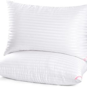 Queen Size Bed Pillows 20 X 30 Inch, Super Soft Down  Microfiber Fill (Option: B097CZCDQG)